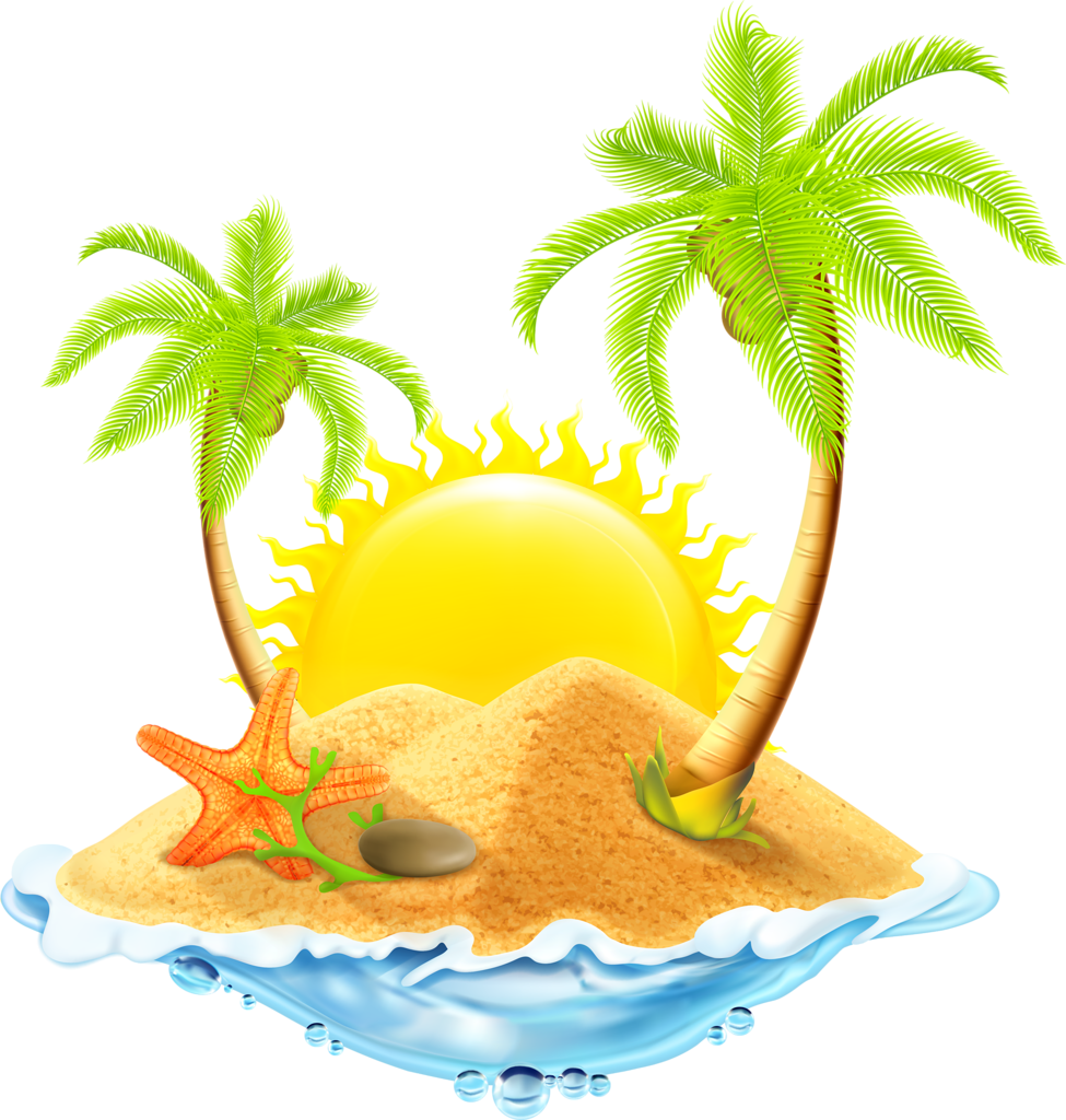 Hibiscus - Praia Png (975x1024)