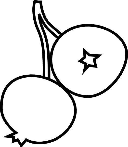 Blueberry - Blueberry Black And White Clipart (522x599)