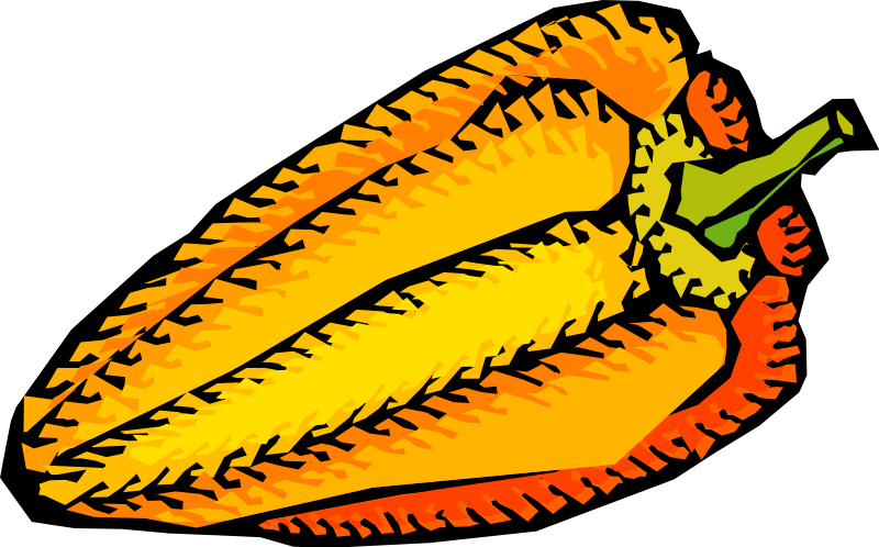 Vegetables 47 Png Images - Habanero Clip Art (800x498)