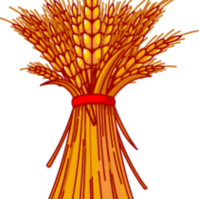 Clip Art Image Wheat Grain And Bread Clip Art - Pumpkin Clip Art Free (400x400)