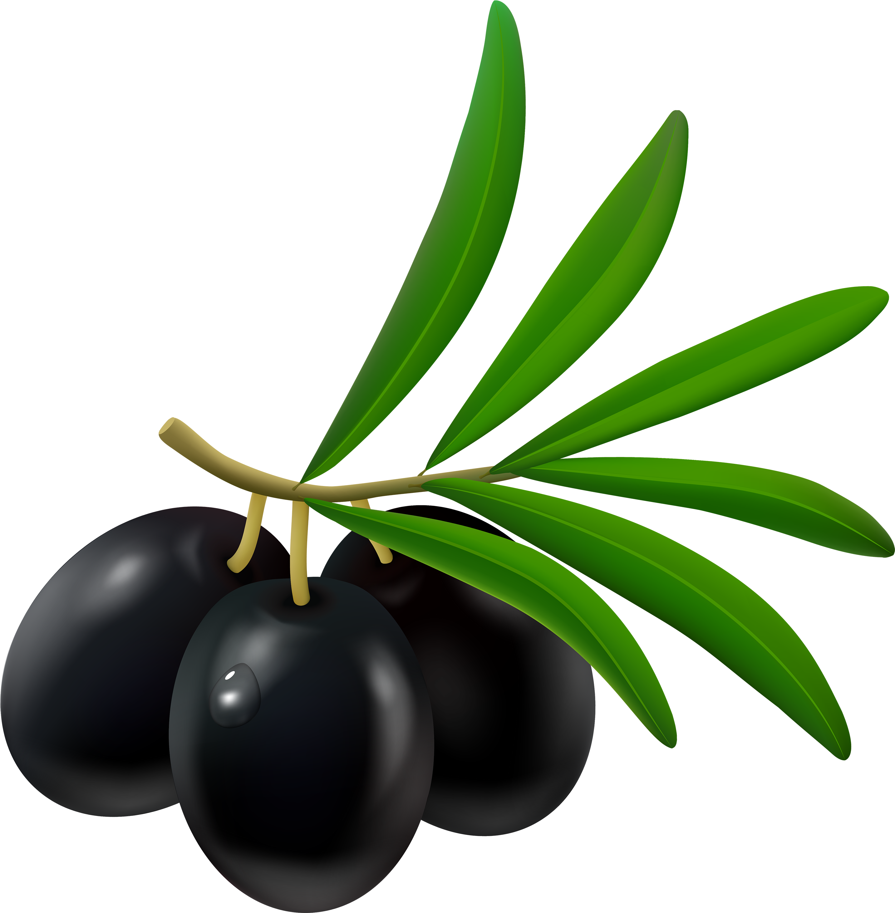 Black Olive Png Clipart - Olives Clipart (2940x3000)