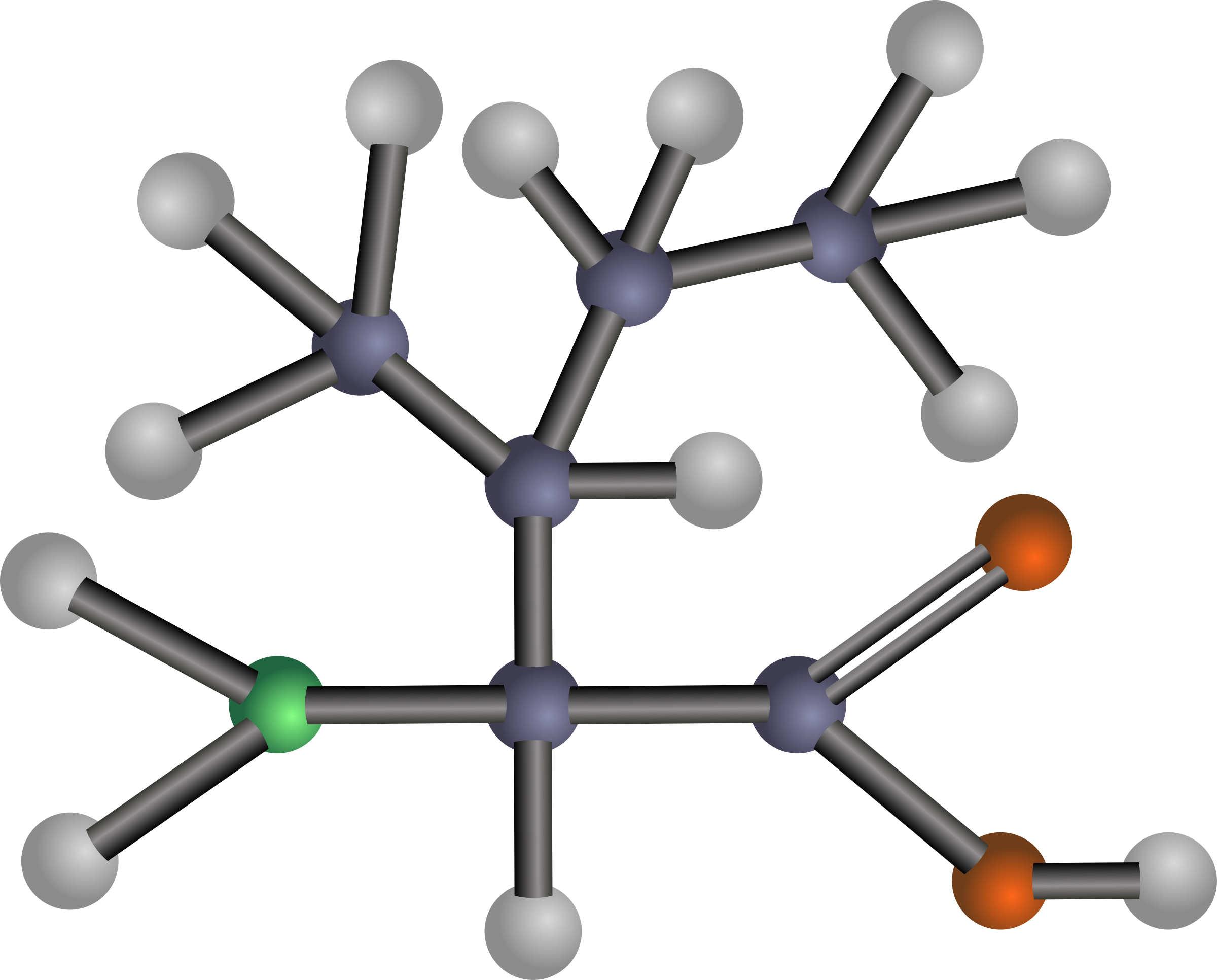 Free Clip Art - Amino Acids: Biochemistry And Applications (2400x1932)