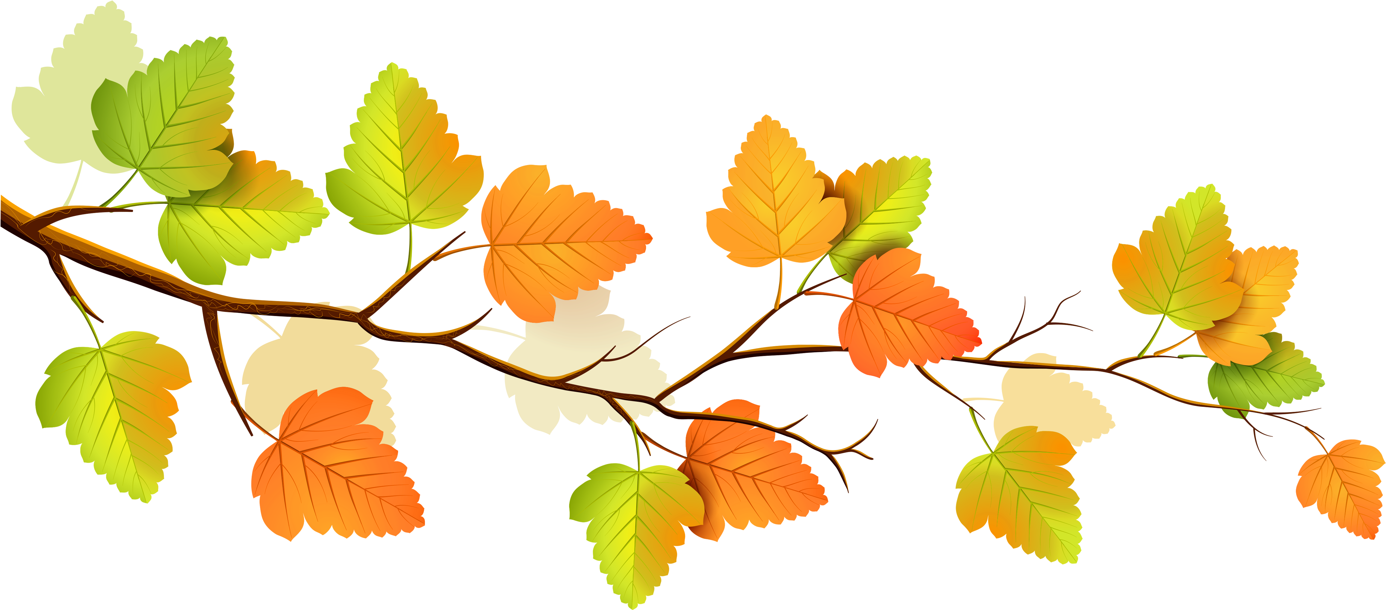 Fall - Autumn Png (5000x2261)