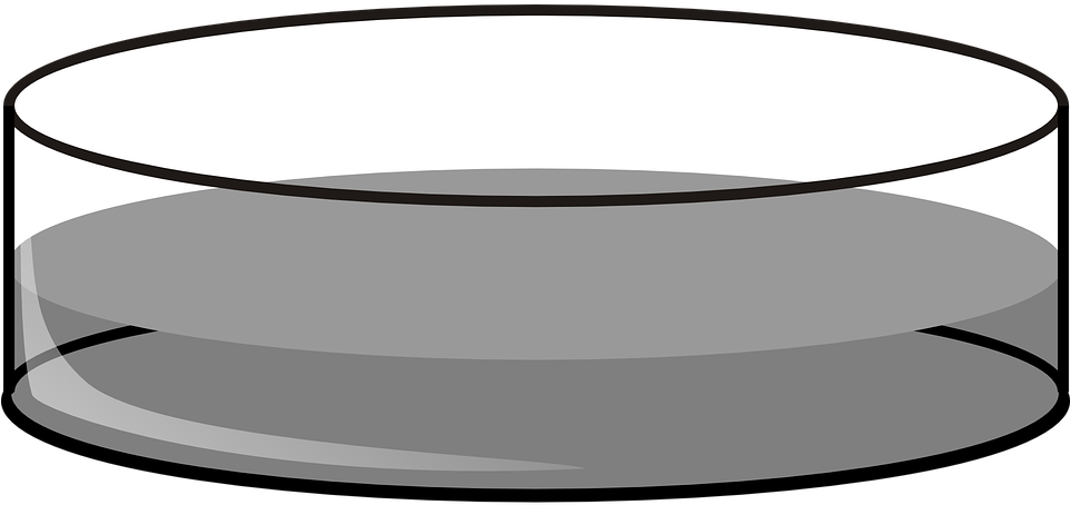 Petri Dish Deep Lab Fluid Grey Chemistry - Petri Dish Black And White (960x480)