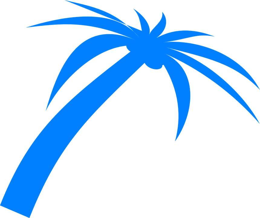 Palm Tree Fronds Tropical Nature Beach Plant - Blue Palm Tree Png (860x720)