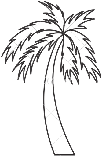 Black And White Palm Tree Travel Beach Icon - Black And White Palm Tree (487x550)