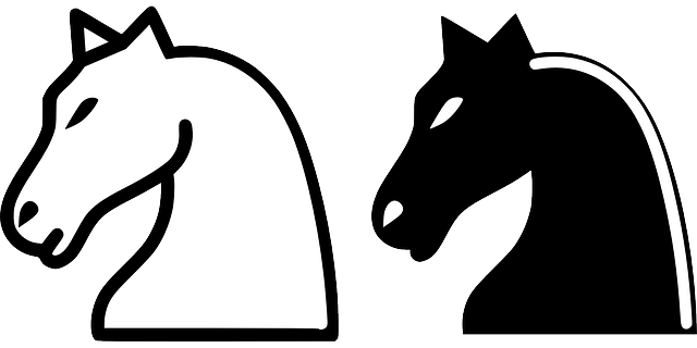 Silhouette Of A Knight - Knight Chess Clip Art (960x480)