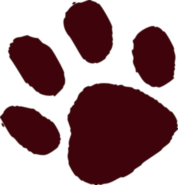 Brown Paw Print Md Free Images - Brown Bear Paw Prints (578x600)