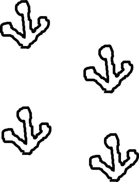 Frog Footprints Clipart (456x597)