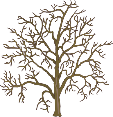 Drawn Dead Tree Dead Plant - Family Tree (389x400)