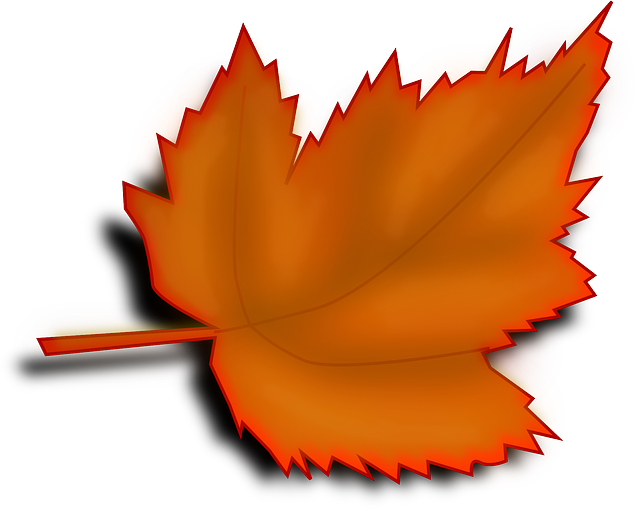 Leaves Clipart Transparent Background (640x511)