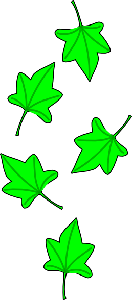Green Grape Tree Leaves Clip Art - Grape Leaf Clip Art (258x588)