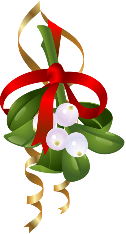 Mistletoe Clip Art - Adult Coloring Book: Beautiful Christmas Decorations (407x750)