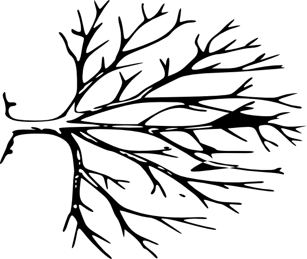 Inheritors: An Extravagant Story (600x506)