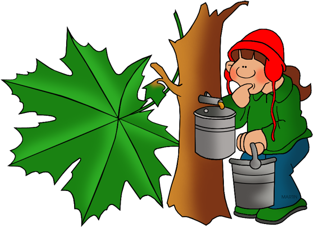 United Clip Art By Phillip Martin, State Tree - Maple Syrup Clip Art (648x466)