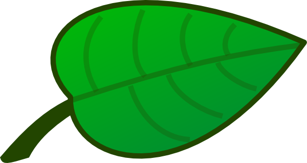 Flower Leaf Clip Art - Cartoon Pictures Of Leaf (600x319)
