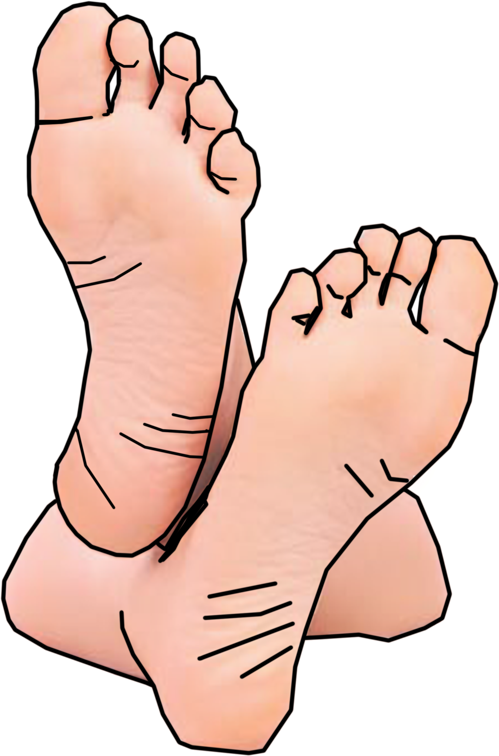 Bottom Of Foot Clipart Heels Pencil And In Color - Bare Feet Clip Art (2078x2747)