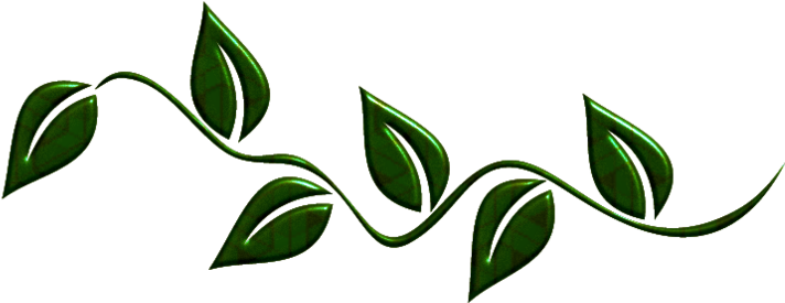 Green Leaves Png By Melissa-tm - Portable Network Graphics (900x464)