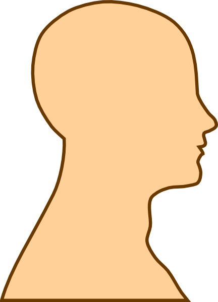 Head Outline Clip Art At Clker - Side View Of Face Clipart (432x599)