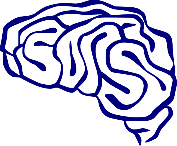 Blue Brain Clip Art - Brain Clip Art Blue (600x495)