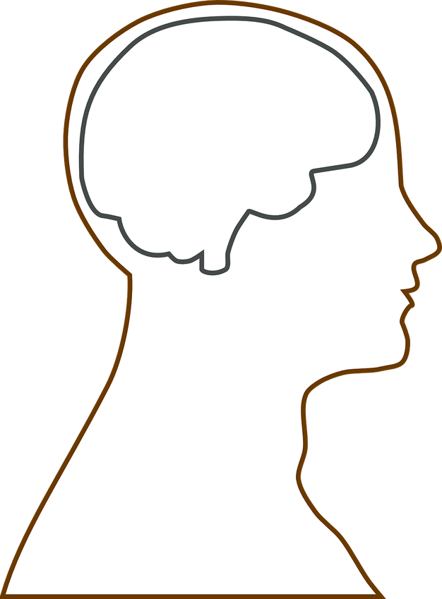 Feeding The Brain For Academic Success - Human Head With Brain Outline (630x854)
