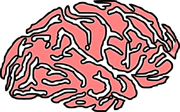Brain Clip Art (600x375)