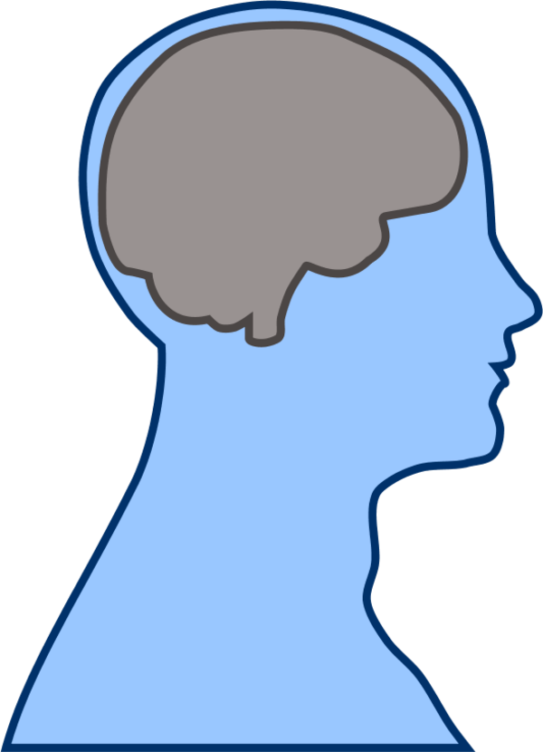 Brain Human Man - Blue Brain Clip Art (600x830)