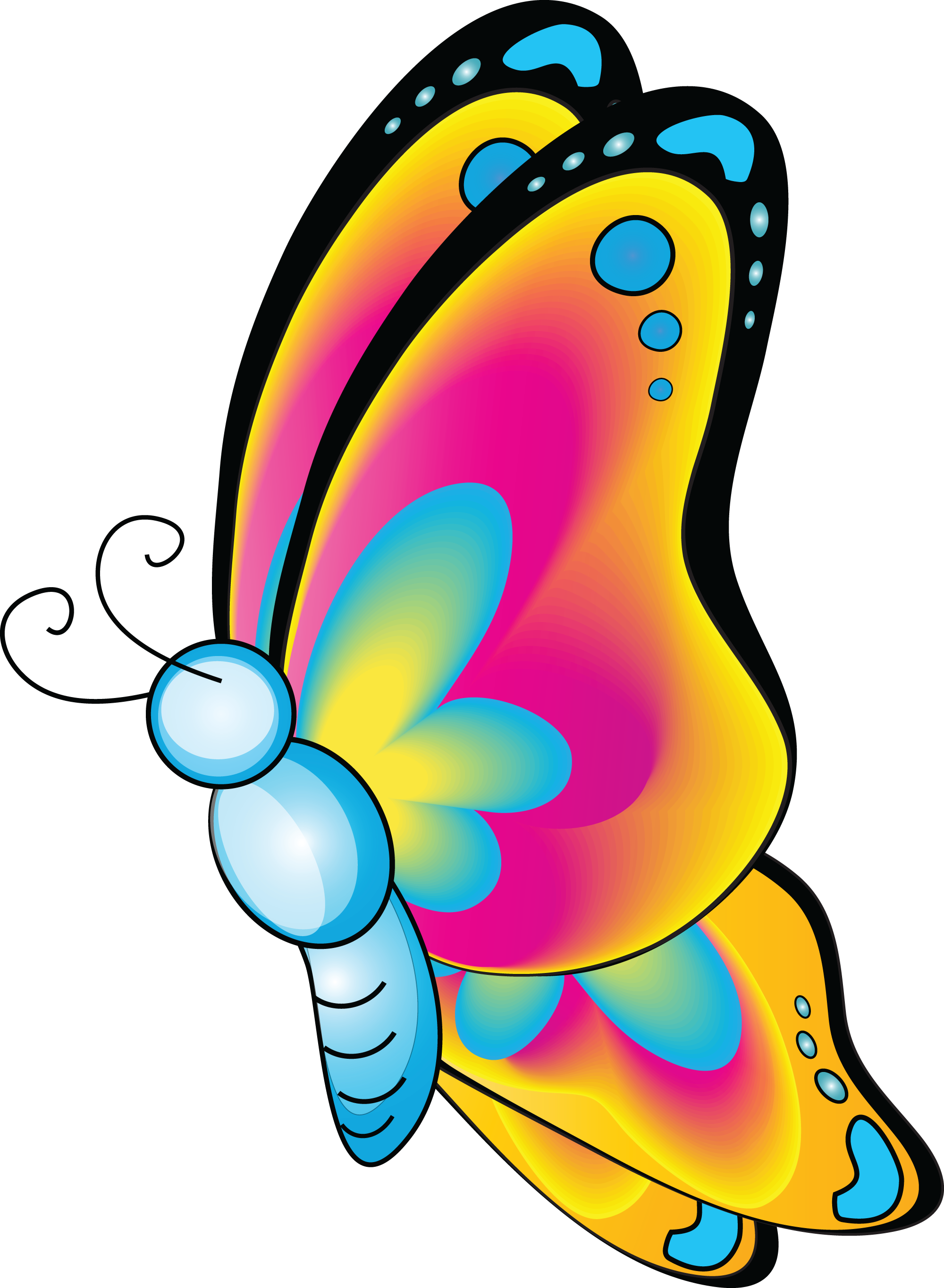 Time For Some Family Fun, Singing, Games And Crafts - Cartoon Picture Of Butterfly (2000x2731)