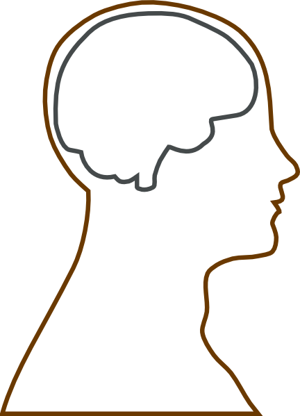 Free Brain In Head Clipart Image - Human Head With Brain (432x599)