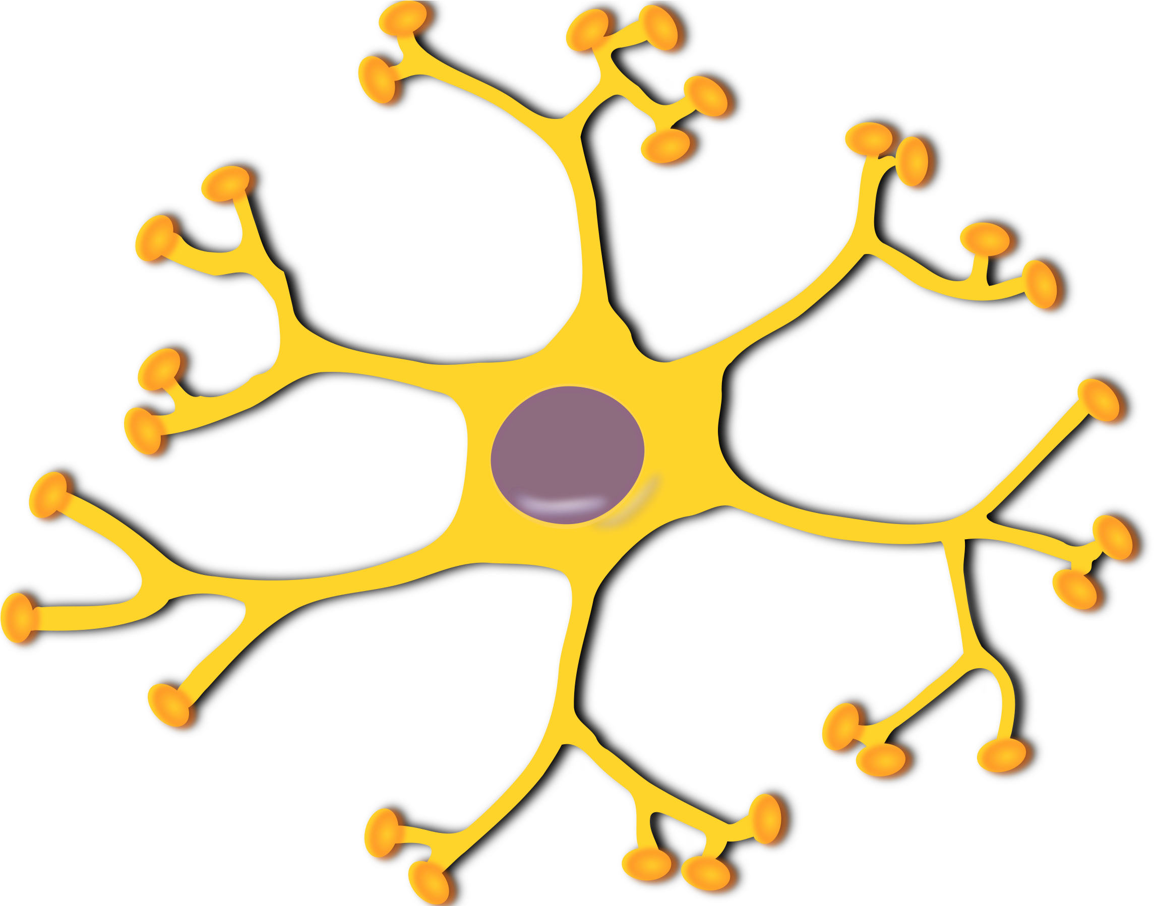 Medium Image - Neurona Clipart (2400x1797)