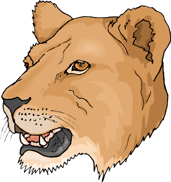 Free Head Lioness Clipart - Female Lion Head Clipart (704x750)