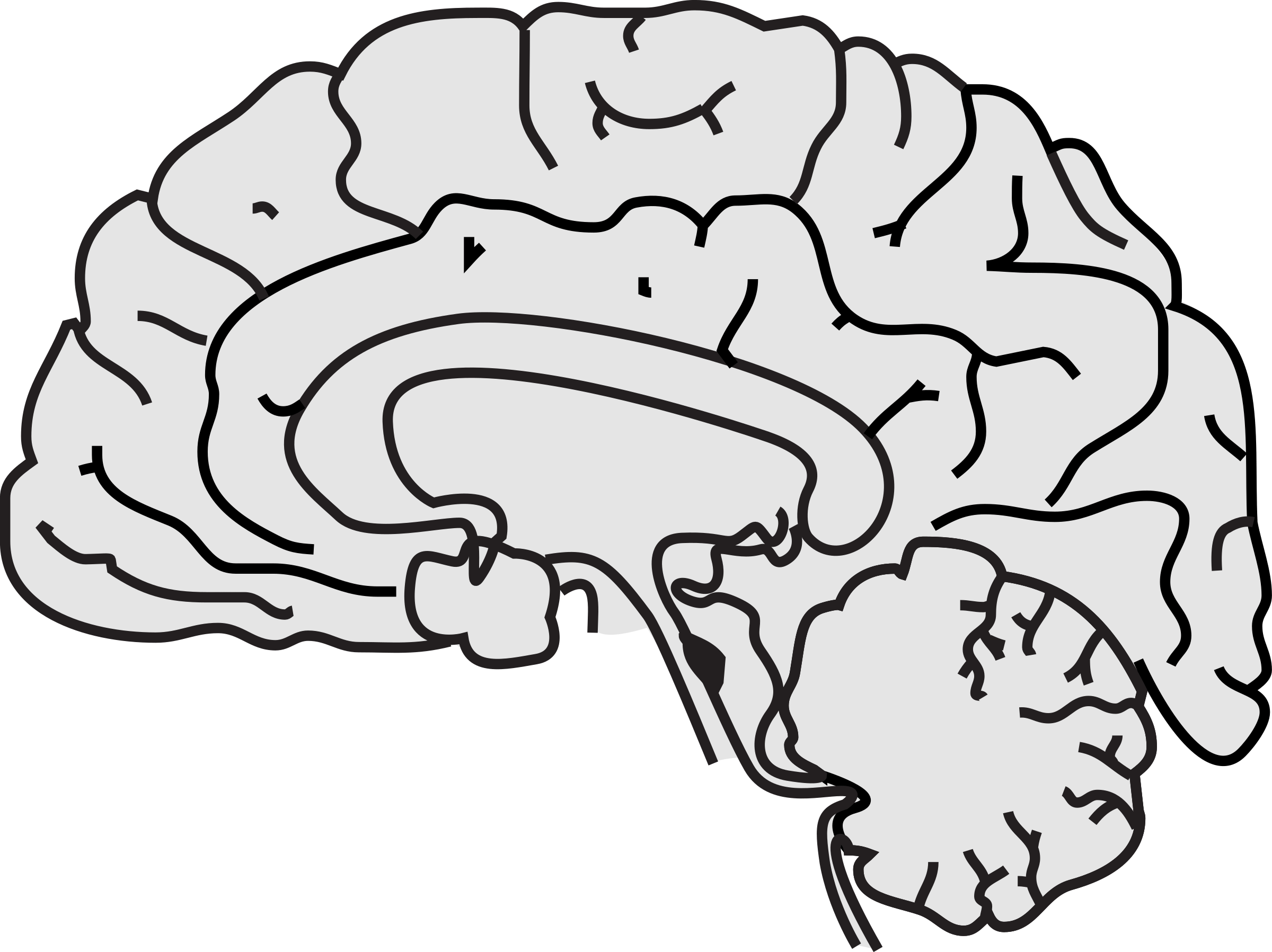 Pin Brain Clipart Images - Brain (2400x1797)