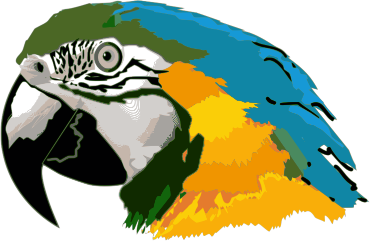 Blue Macaw Clipart - Parrot Head Clip Art (741x483)