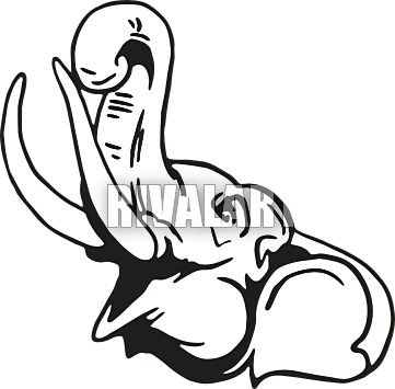 Elephant Face Clip Art Clipart Panda - Elephant Face Line Drawing (361x355)