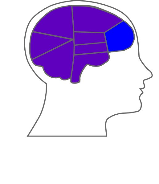 Head And Brain Outline Svg Clip Arts 516 X 597 Px - Head And Brain Outline Svg Clip Arts 516 X 597 Px (516x597)