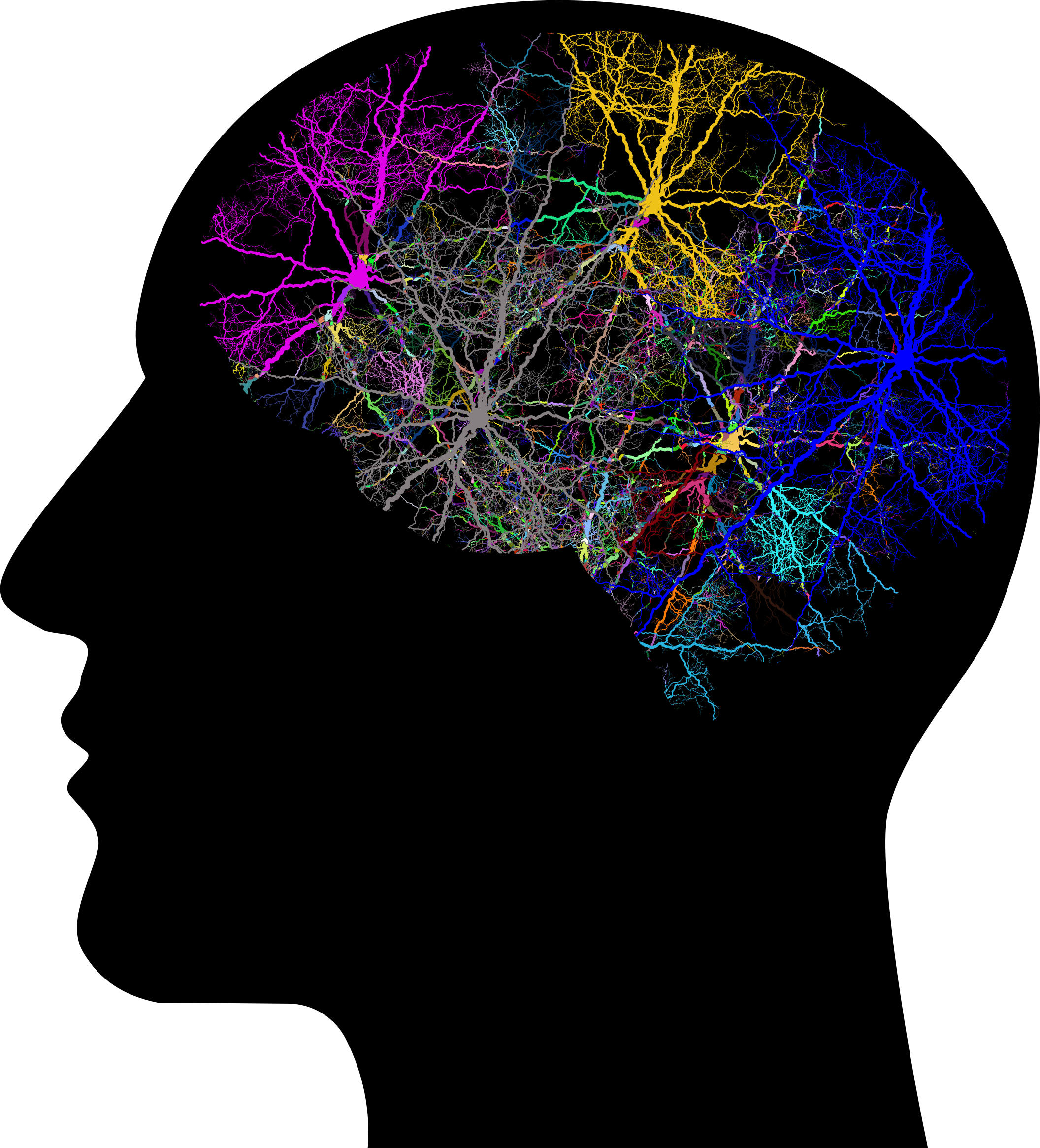 Картинки в голове. Нейроны в голове. Сознание и мозг. Мозг мышление.