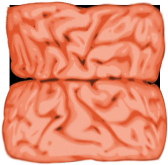 Square Brain Clipart - Brain Clip Art (500x500)