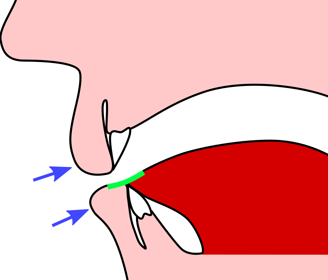 Raise Lips Clipart - Drawing (1114x951)