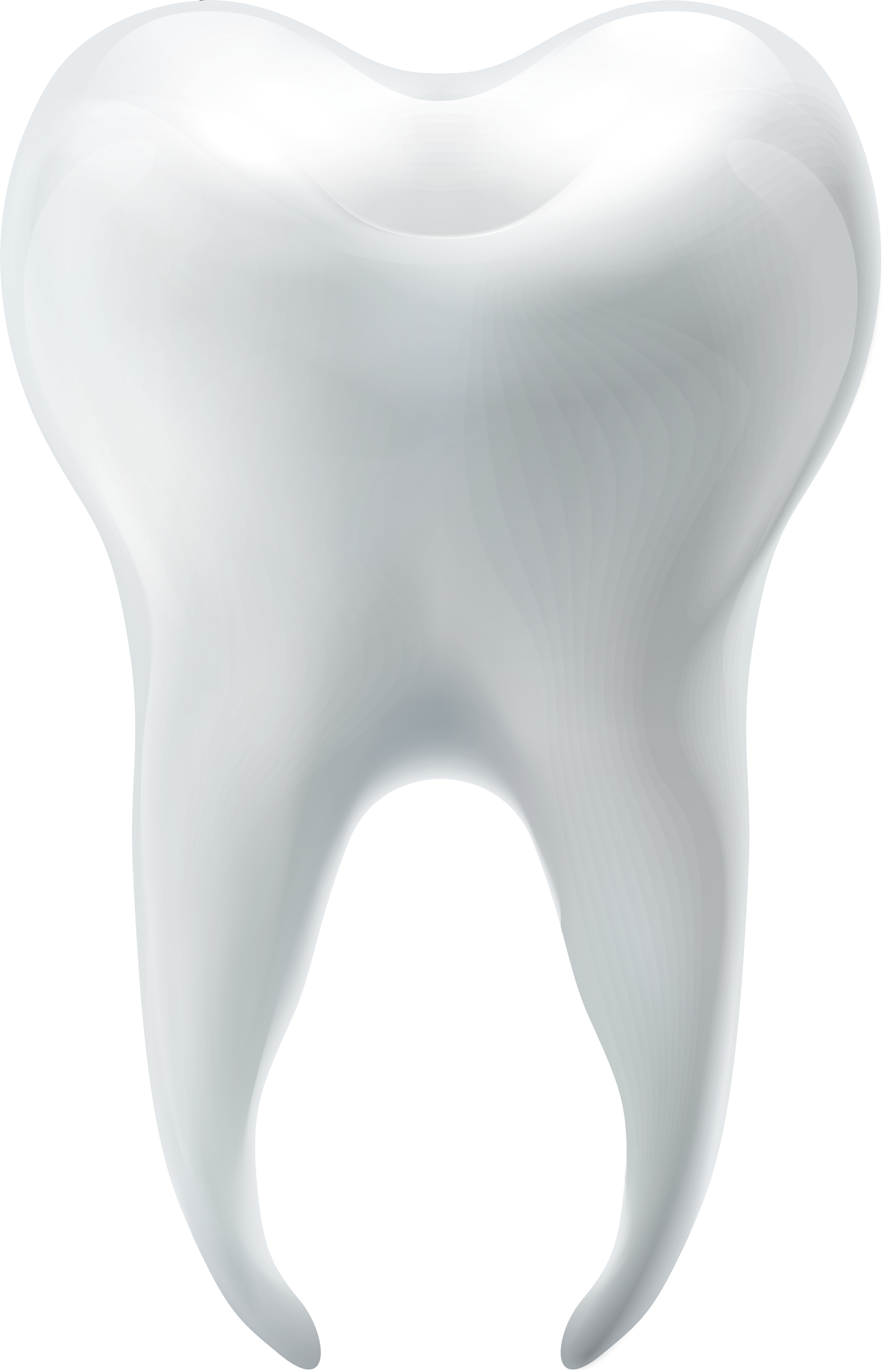 Molar Tooth Png Clip Art - Molar Tooth Png Clip Art (5152x8000)