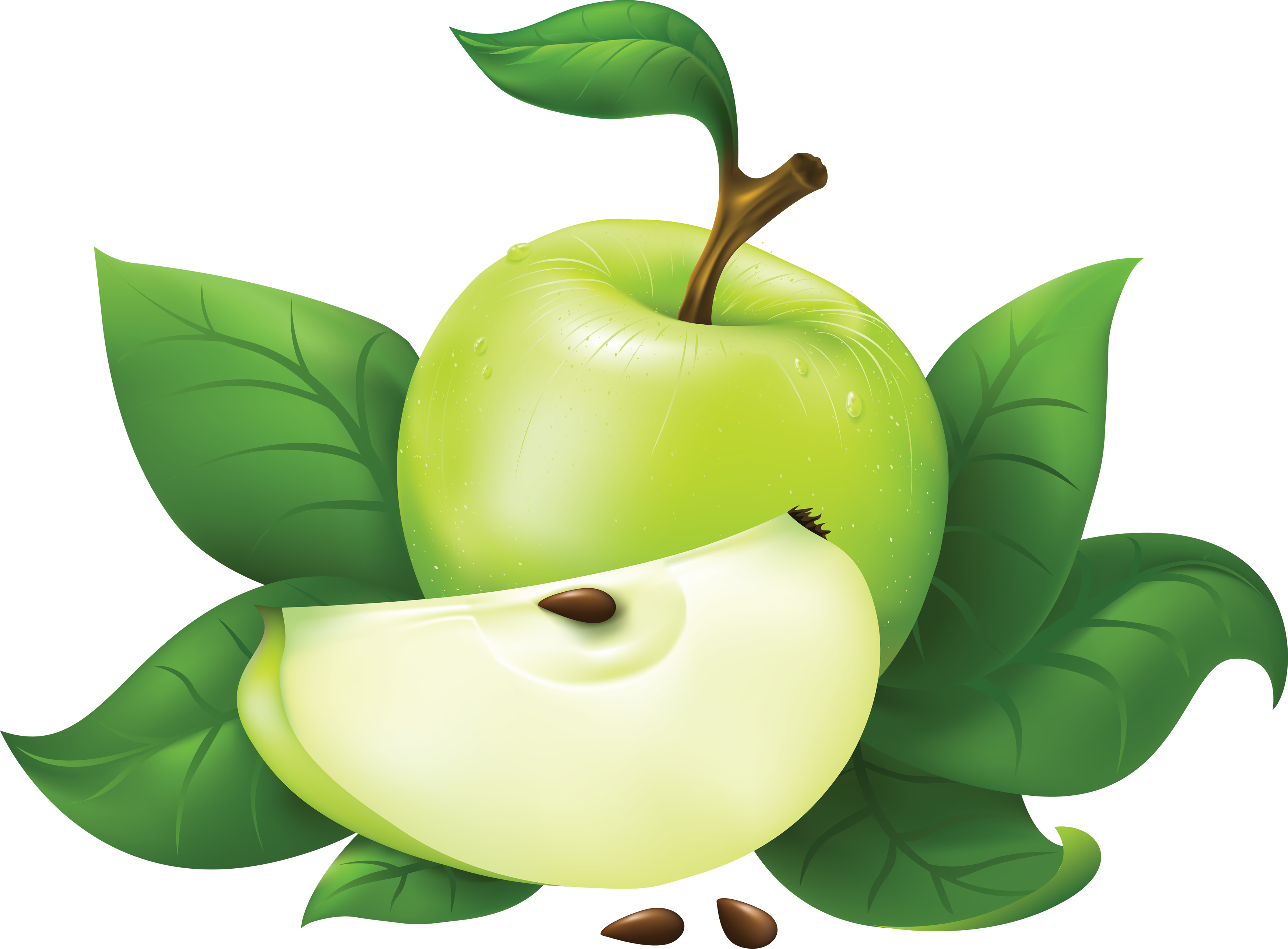 Download Green Apple Clipart - Green Apple Png (3497x2576)