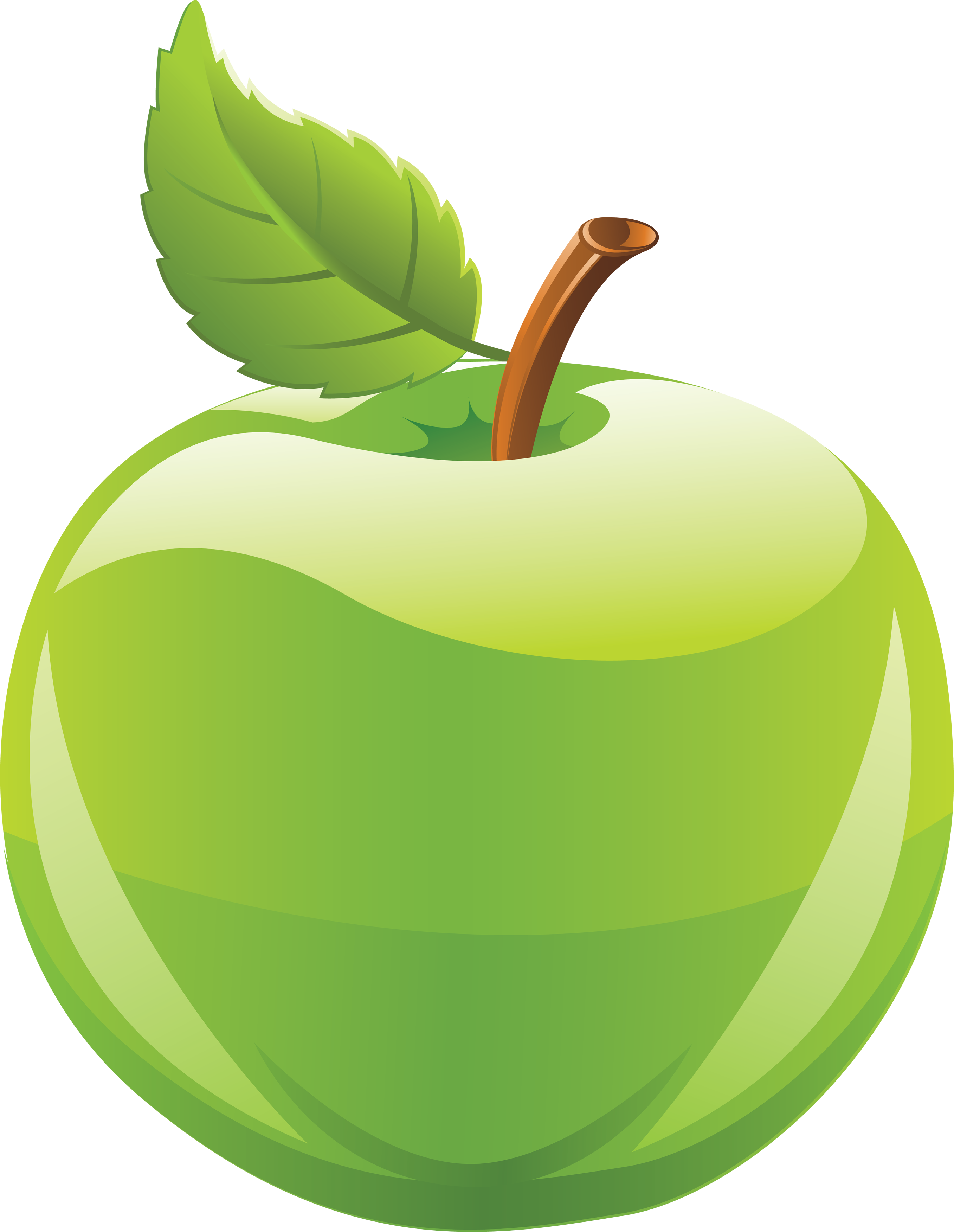 Fruits Green Apple Clipart - Green Apple Clipart Png (2714x3504)