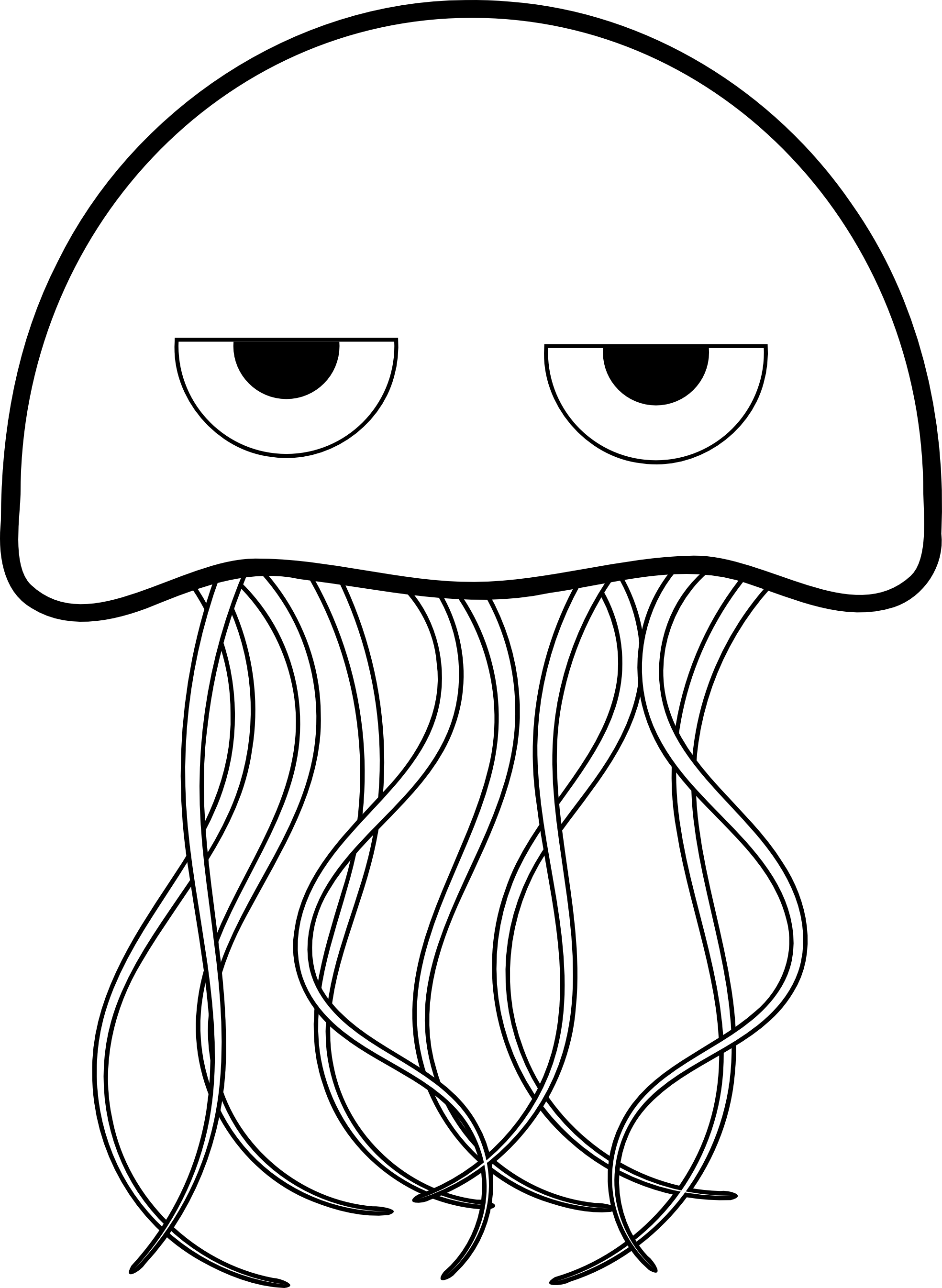 Sea Turtle Clip Art Jellyfish Coloring Book - Jellyfish Coloring Page (1969x2693)
