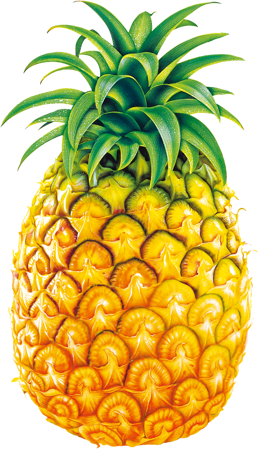 Pineapple Juice Fruit Bromelain Clip Art - Legend Of Pineapple Short Story (1344x1860)