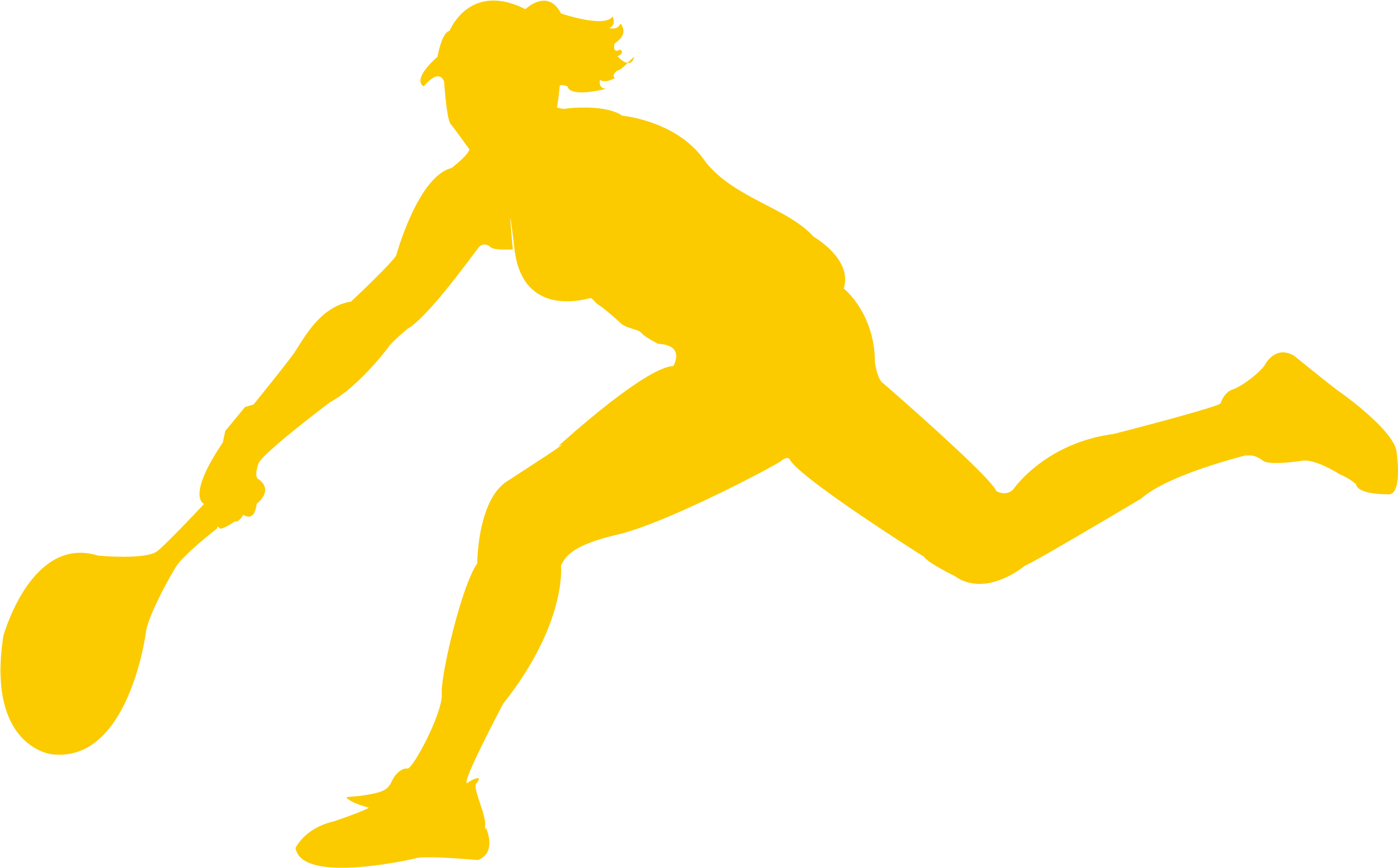 2016 Summer Olympics Badminton Silhouette Sport Clip - Tennis Silhouette Transparent (3845x2886)