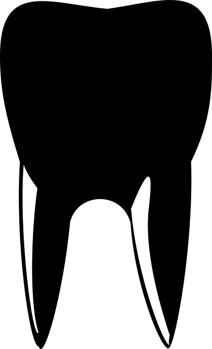 Tooth Dentist Silhouette Doctor Mouth Medicine - Diş Vektörel Png (438x720)