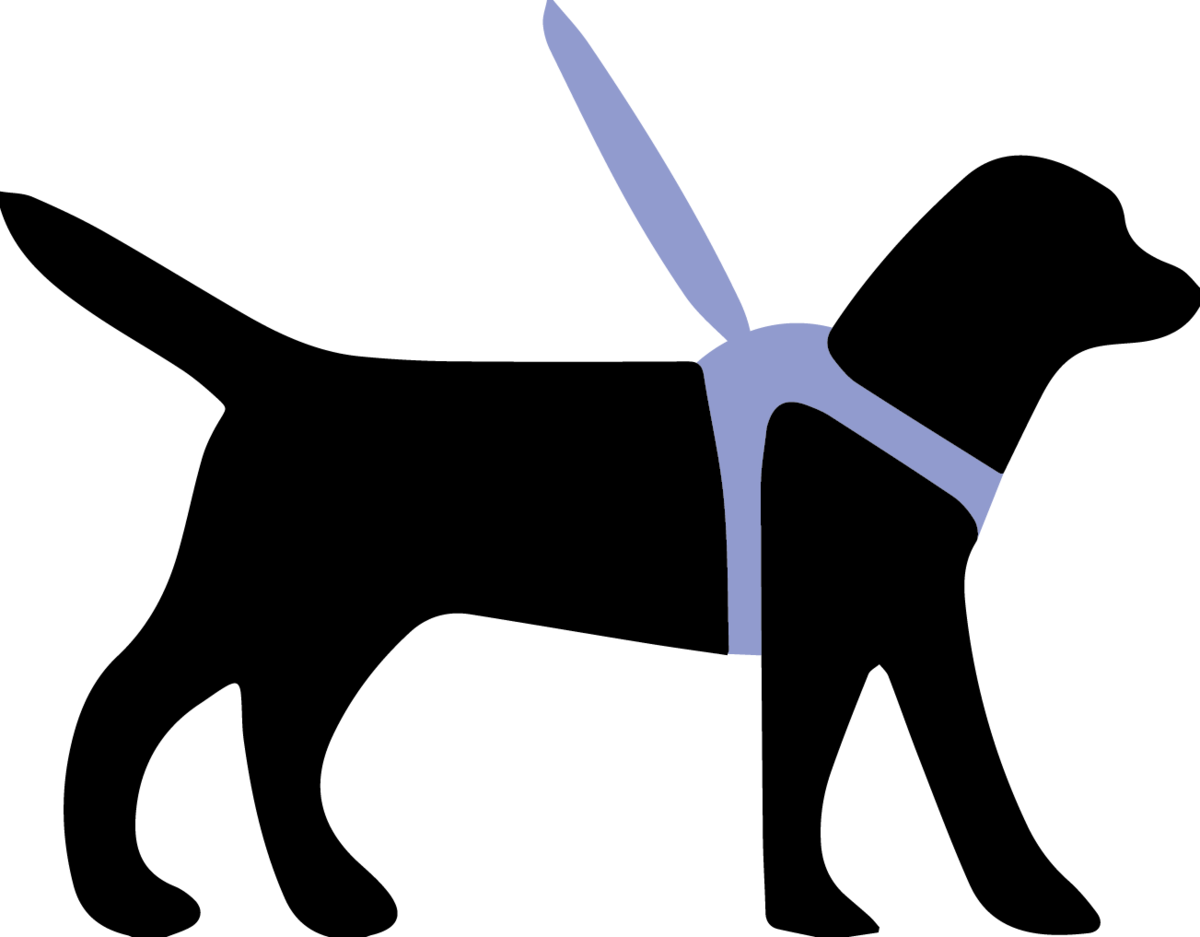 Guide Dog Harness - Dog In Harness Clip Art (1303x1017)