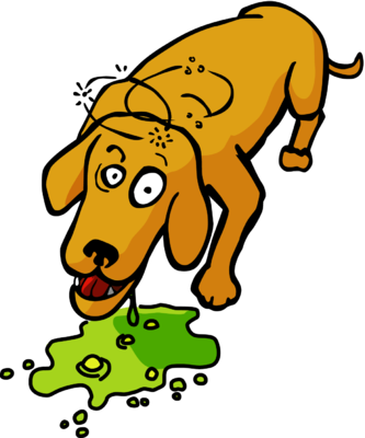 Dog Vomiting Clipart - Dog Return To Vomit (333x400)