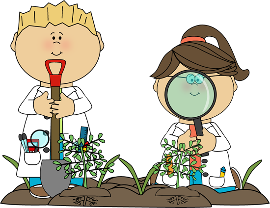 Pot Plant Clipart Kid Plant - Science In Primary School (550x424)