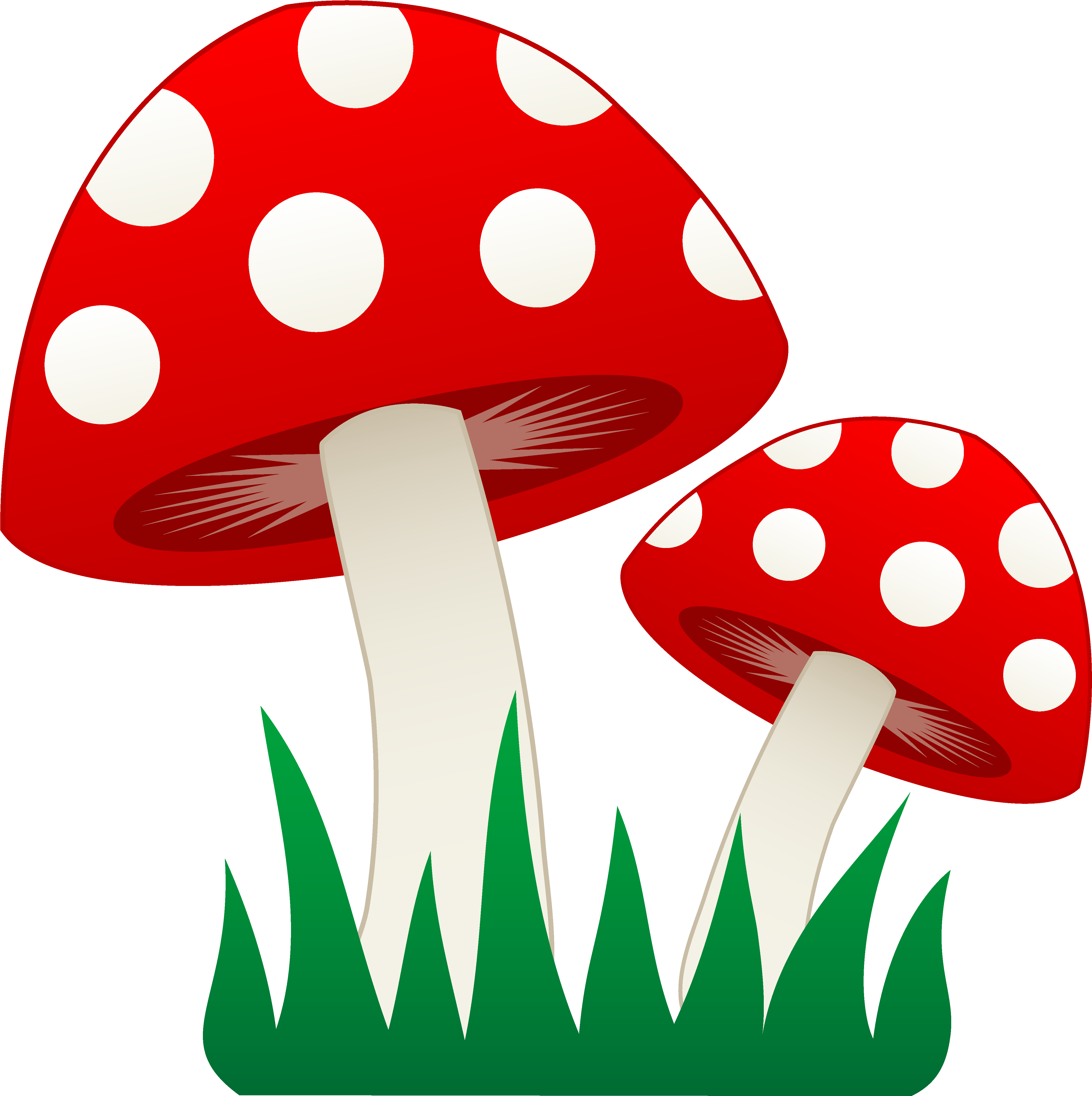 Mushroom Clip Art Images Pictures - Mushroom Clipart (4661x4678)