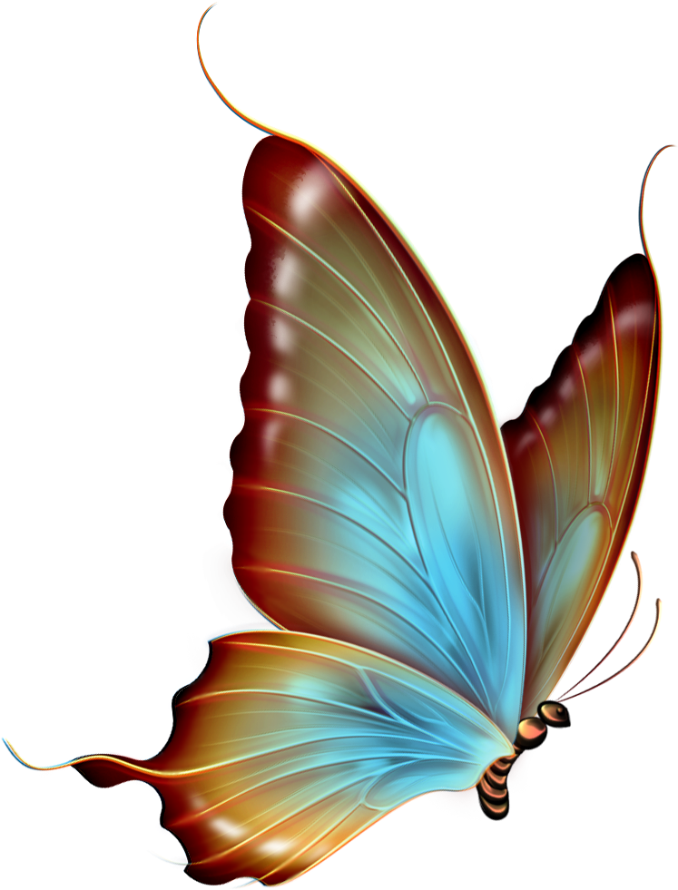 Brown And Blue Transparent Butterfly Clipartu200b Gallery - Butterfly Clip Art Transparent (782x1000)
